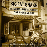 Big Fat Snake - One Night Of Sin