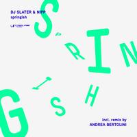 DJ Slater & Nipp - Springish
