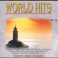 Acoustic Sound Orchestra - World Hits Instrumental
