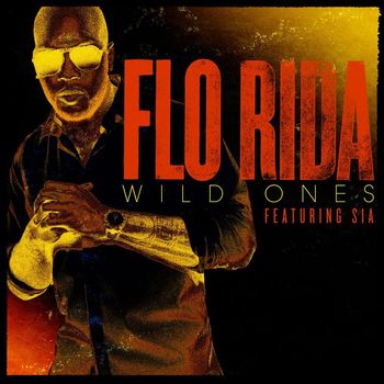 Flo Rida - Wild Ones (feat. Sia)