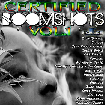 Various Artist - Certified Boomshots Vol.1