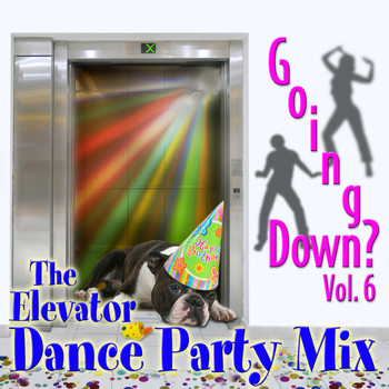 Various Artists - Going Down? Vol. 6: The Elevator Dance Party Mix