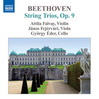 Attila Falvay - Beethoven: Complete String Trios, Vol. 2