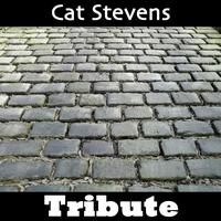 Mystique - Wild World: Tribute To Cat Stevens