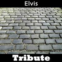Mystique - All Shook Up: Tribute To Elvis Presley Part 1