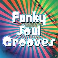 The Vintage Masters - Funky Soul Grooves