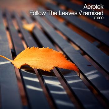 Aerotek - Follow The Leaves: Remixed