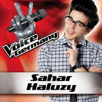 Sahar Haluzy - Teenage Dirtbag (From The Voice Of Germany)