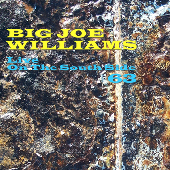 Big Joe Williams - Live On The South Side 63