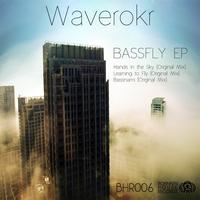 Waverokr - Bassfly EP