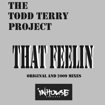 The Todd Terry Project - That Feelin