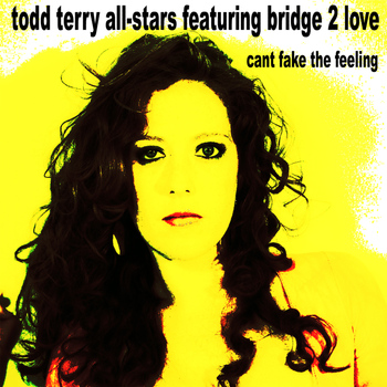 Todd Terry All Stars - Can't Fake the Feeling