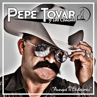 Pepe Tovar Y Los Chacales - Aunque Te Enamores