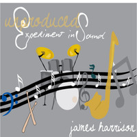 James Harrison - An Unproduced Experiment In Sound