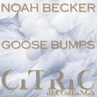 Noah Becker - Goose Bumps