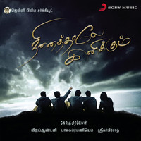 Vijay Antony - Ninaithale Inikkum (Original Motion Picture Soundtrack)