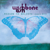 Wishbone Ash - Reason to Believe