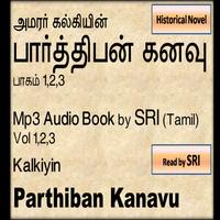 SRI - Kalkiyin Parthiban Kanavu - Audio Book By Sri (Tamil)