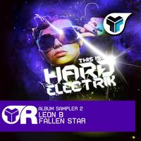 Leon B - This Is Hard Electrik Album Sampler 2