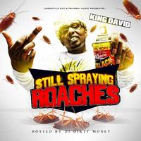 King David - STILL Spraying Roaches