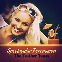 The Feather Tunes - Spectacular Percussion
