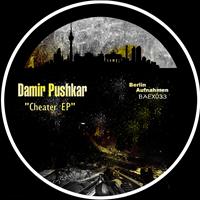 Damir Pushkar - Cheater EP