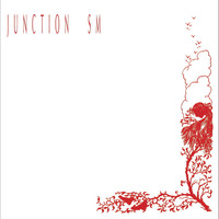 Junction SM - Junction SM
