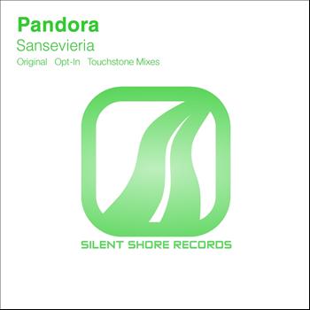 Pandora - Sansevieria
