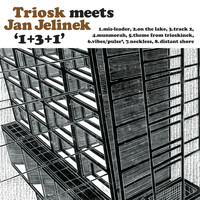 Triosk Meets Jan Jelinek - 1+3+1