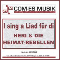 Heri & Die Heimat-Rebellen - I sing a Liad für di