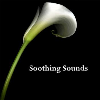 Various Artists - Soothing Sounds