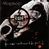 Headnoise - For Now We Know: In Part 1