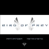 Bird of Prey - Pathfinder/Metakinetic
