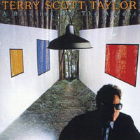 Terry Scott Taylor - A Briefing For the Ascent