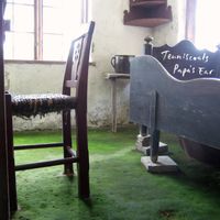 Tenniscoats - Papa's Ear