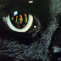 Cat - Cat