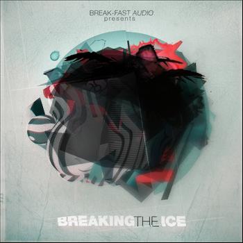 Various Artists - Breaking The Ice LP
