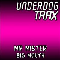 Mr Mister - Big Mouth