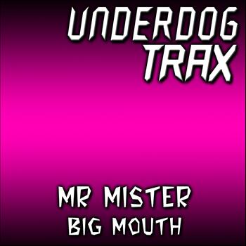 Mr Mister - Big Mouth