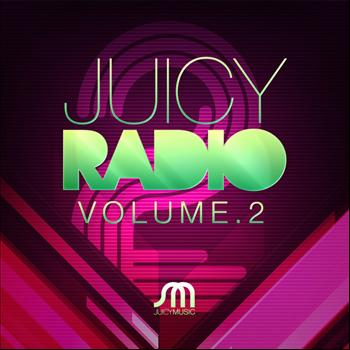 Various Artists - Juicy Radio Volume 2