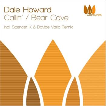 Dale Howard - Bear Cave