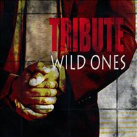 The Singles - Wild Ones (Flo Rida feat. Sia Tribute)