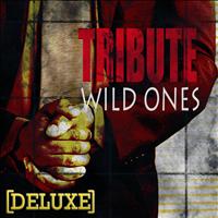 The Singles - Wild Ones (Flo Rida feat. Sia Deluxe Tribute)