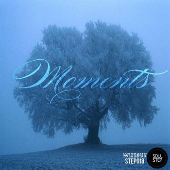 Wizeguy - Moments