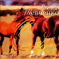 Zhenya Shevchenko - Keep On Shining My Star