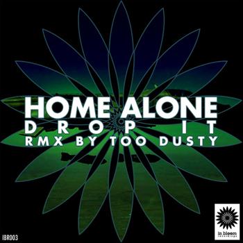 Home Alone - Drop It
