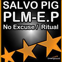 Salvo Pig Dj - Plm
