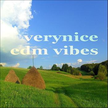 Various Artists - Visualize the Vibe (20+ Vibrant House Music Tunes In Bb-Key)