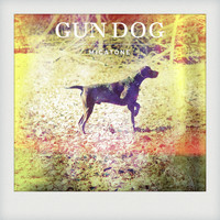 Micatone - Gun Dog w / Alex Barck Remix