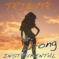 The Singles - Mr. Wrong (Mary J. Blige feat. Drake Instrumental Tribute)
